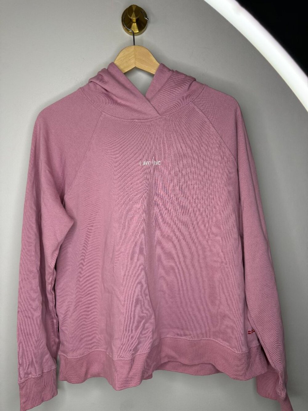 Peace Love World French Terry Affirmation Hoodie Rose Blush: Large